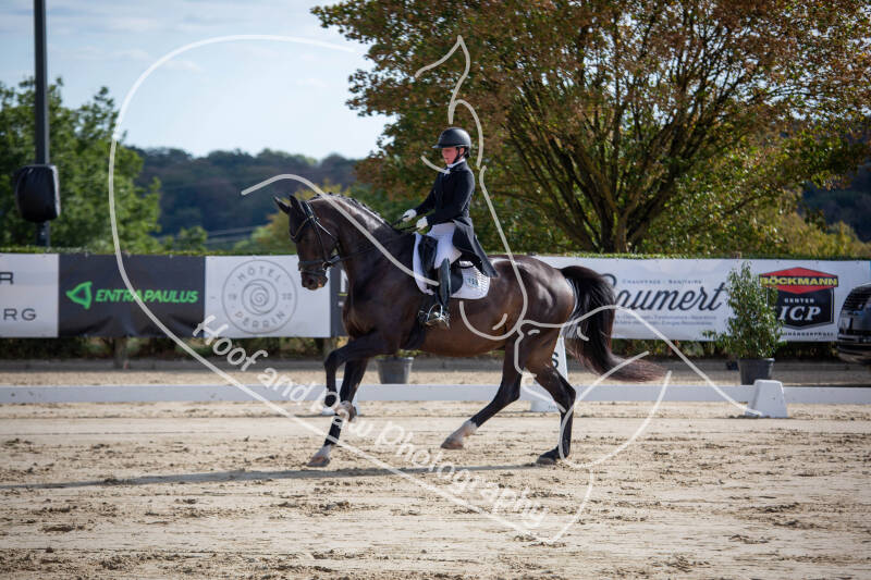 bouferterhaff-jumping-20-standard-0np8hr.jpg