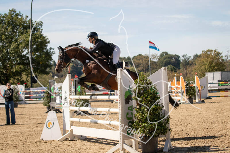 bouferterhaff-jumping-20-standard-dn7oo2.jpg