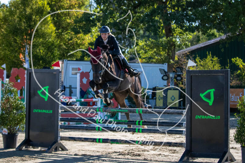 bouferterhaff-jumping-20-standard-fi472f.jpg