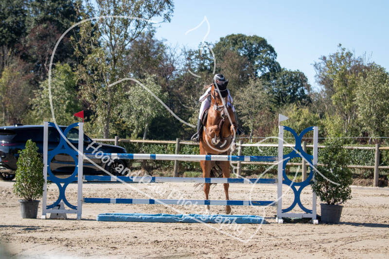 bouferterhaff-jumping-20-standard-h1ei5m.jpg
