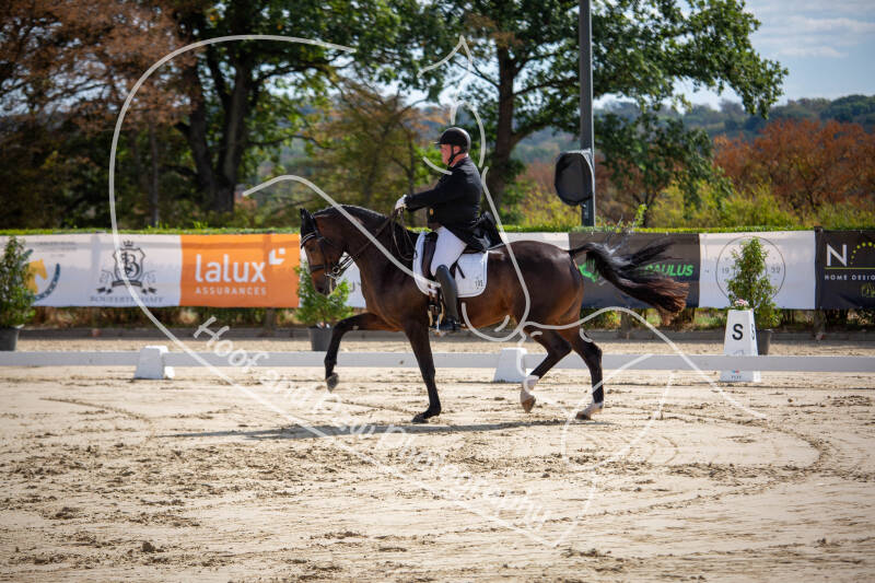bouferterhaff-jumping-20-standard-ijix90.jpg