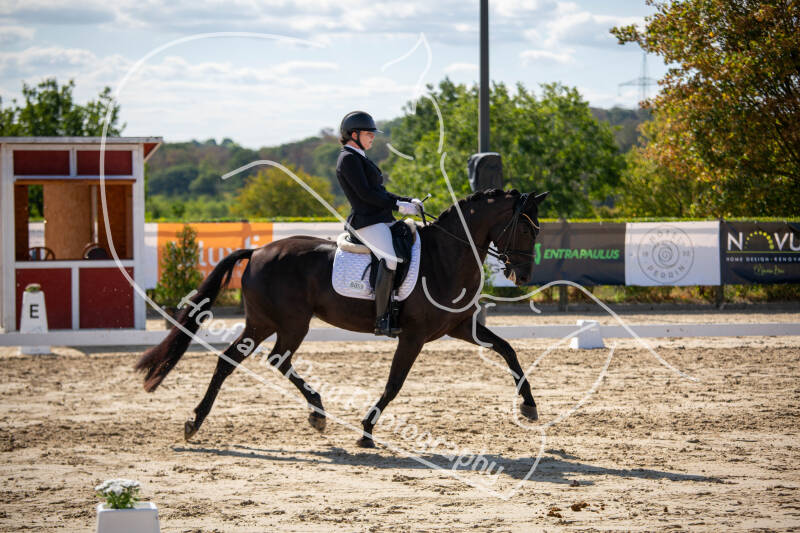 bouferterhaff-jumping-20-standard-lw34s1.jpg