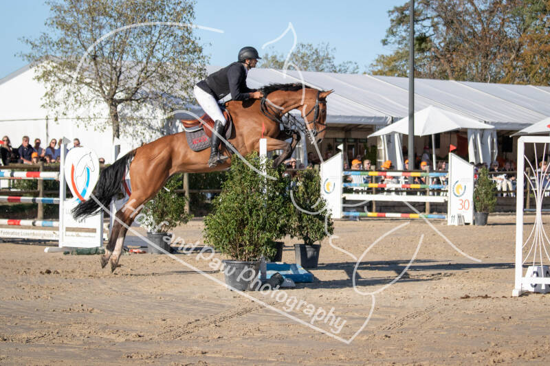 bouferterhaff-jumping-20-standard-lyohck.jpg