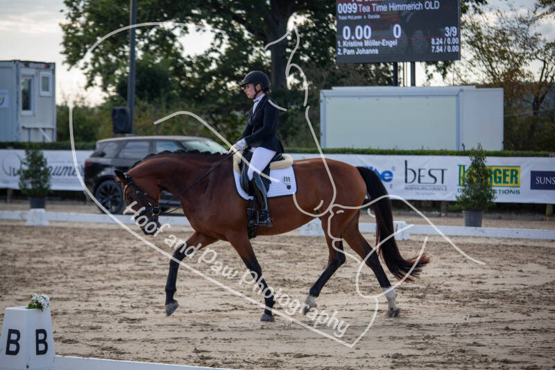 bouferterhaff-jumping-20-standard-nd9wvg.jpg