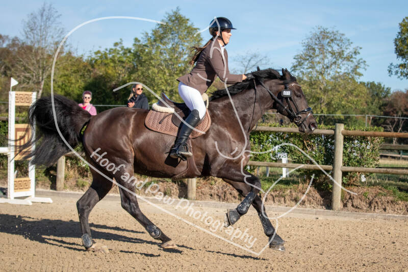 bouferterhaff-jumping-20-standard-os59eq.jpg