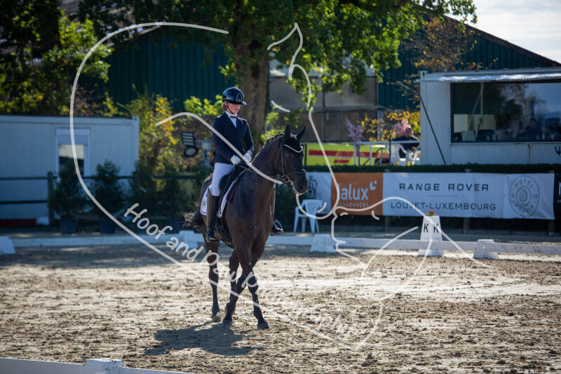 bouferterhaff-jumping-20-standard-rm0g30.jpg