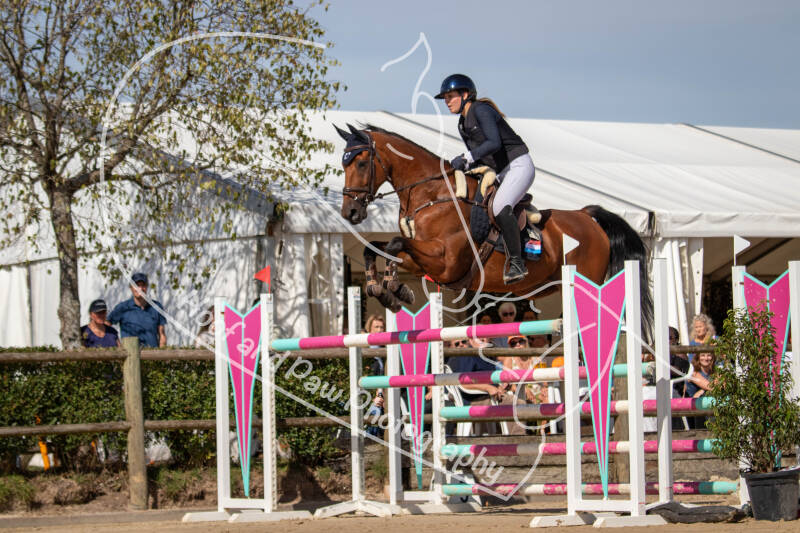 bouferterhaff-jumping-20-standard-s9kggq.jpg