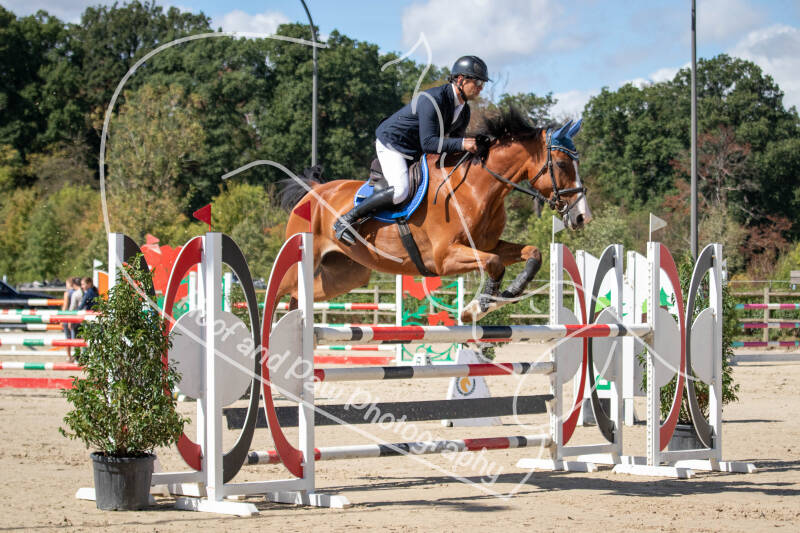 bouferterhaff-jumping-20-standard.jpg
