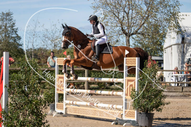 bouferterhaff-jumping-21-standard-2zzy4w.jpg