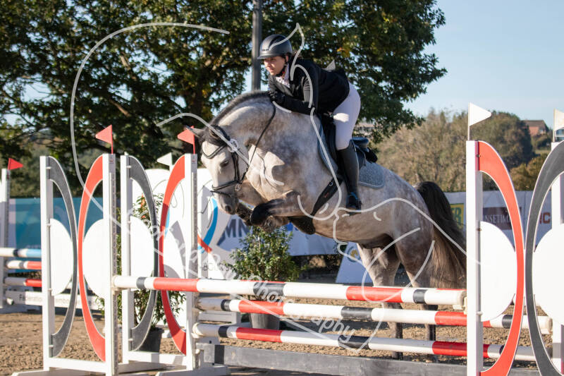 bouferterhaff-jumping-21-standard-586njg.jpg
