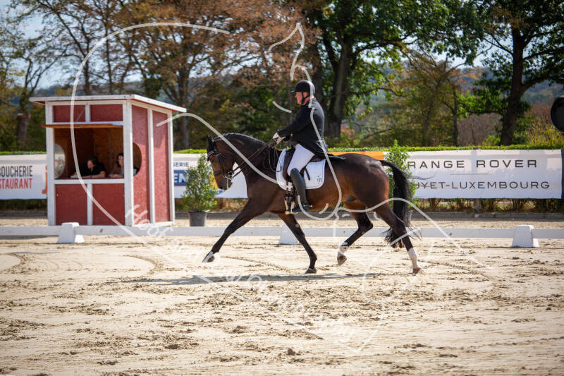 bouferterhaff-jumping-21-standard-9kki0w.jpg