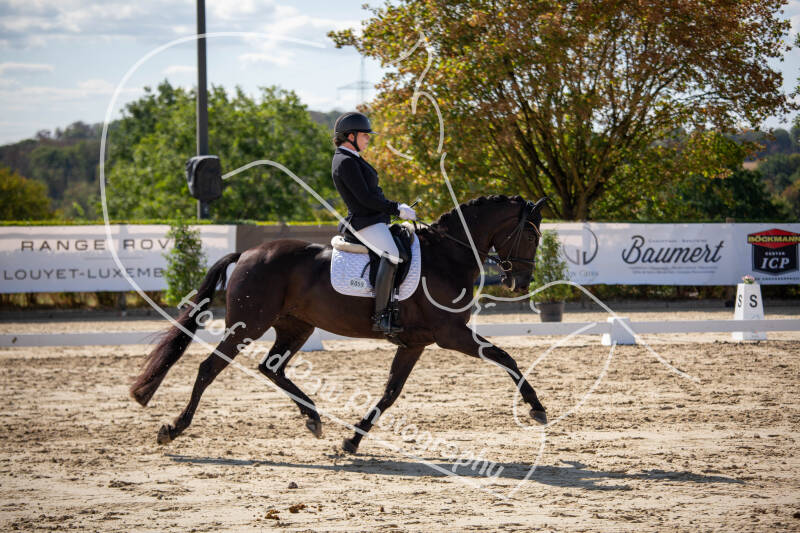 bouferterhaff-jumping-21-standard-bqaoak.jpg