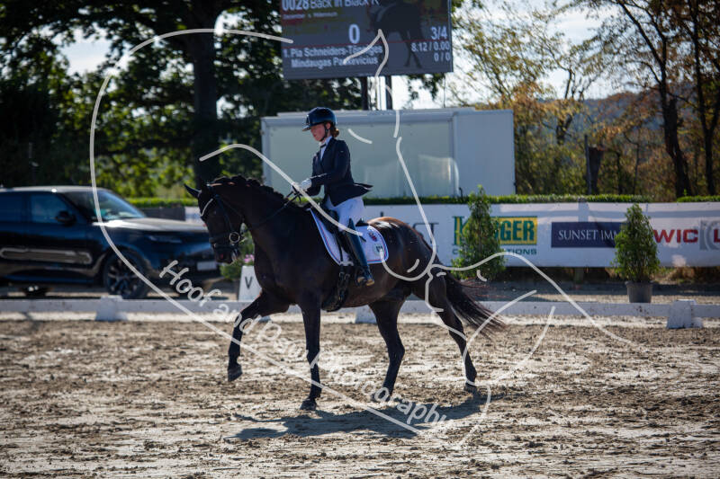 bouferterhaff-jumping-21-standard-gntlwu.jpg