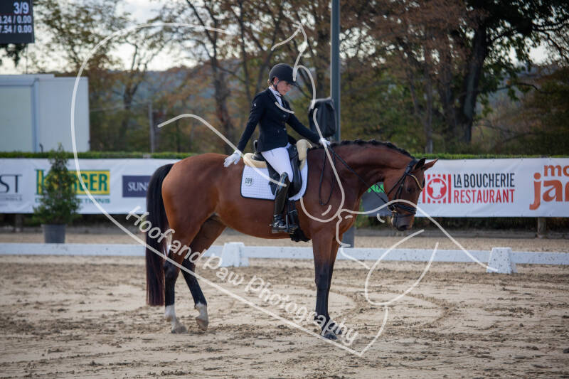 bouferterhaff-jumping-21-standard-qughf8.jpg