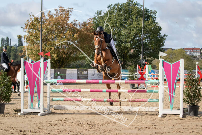 bouferterhaff-jumping-21-standard-rjl7nf.jpg
