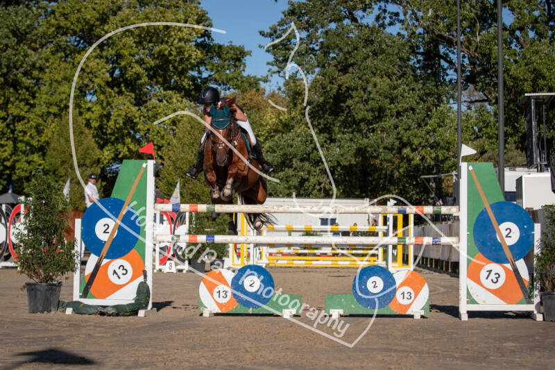 bouferterhaff-jumping-21-standard-s3p5ed.jpg