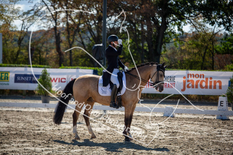 bouferterhaff-jumping-21-standard-vpdpqt.jpg
