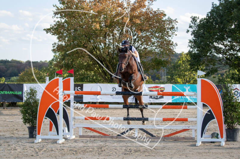 bouferterhaff-jumping-21-standard-xjlz2c.jpg