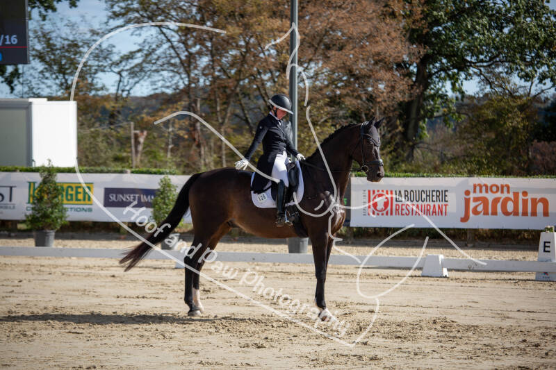 bouferterhaff-jumping-21-standard-zrgbh7.jpg
