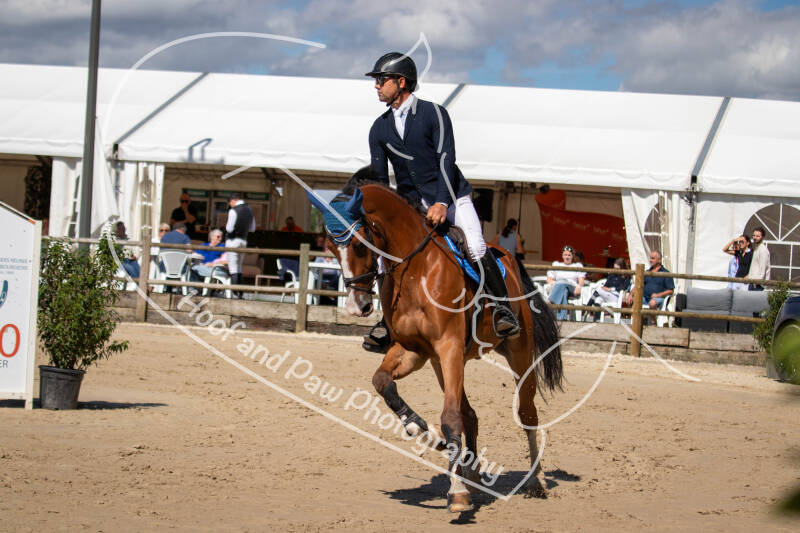 bouferterhaff-jumping-21-standard.jpg