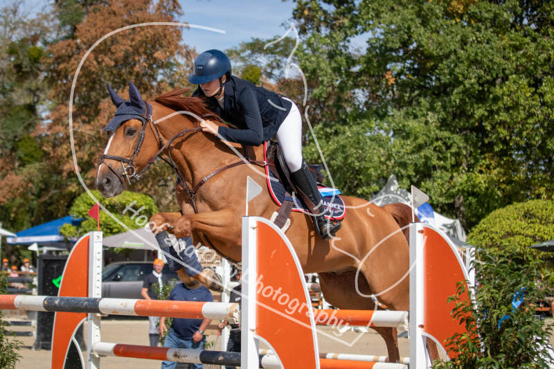 bouferterhaff-jumping-22-standard-28fagm.jpg