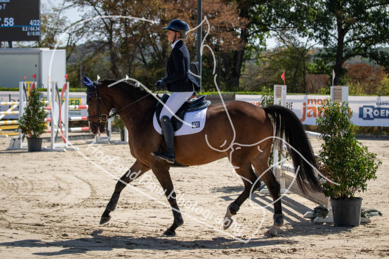 bouferterhaff-jumping-22-standard-7j2f8p.jpg