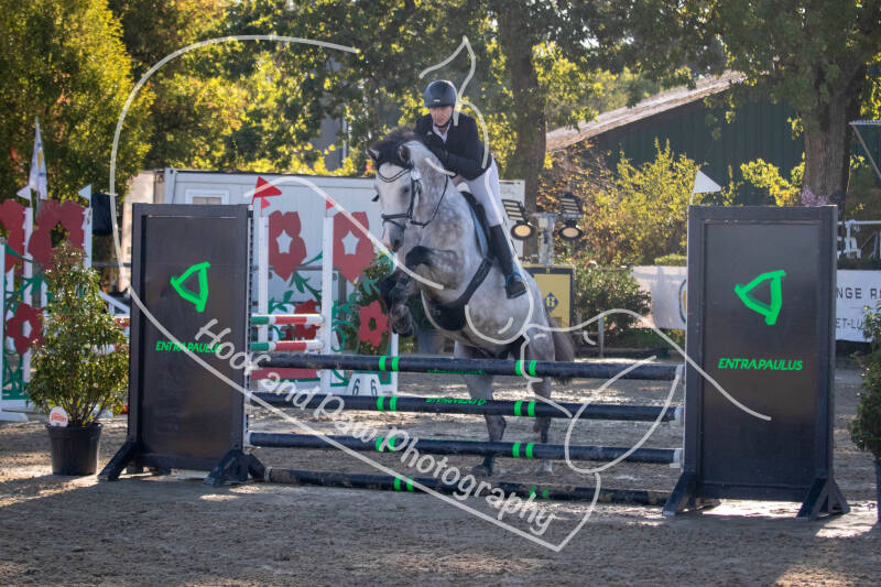 bouferterhaff-jumping-22-standard-93eb9d.jpg