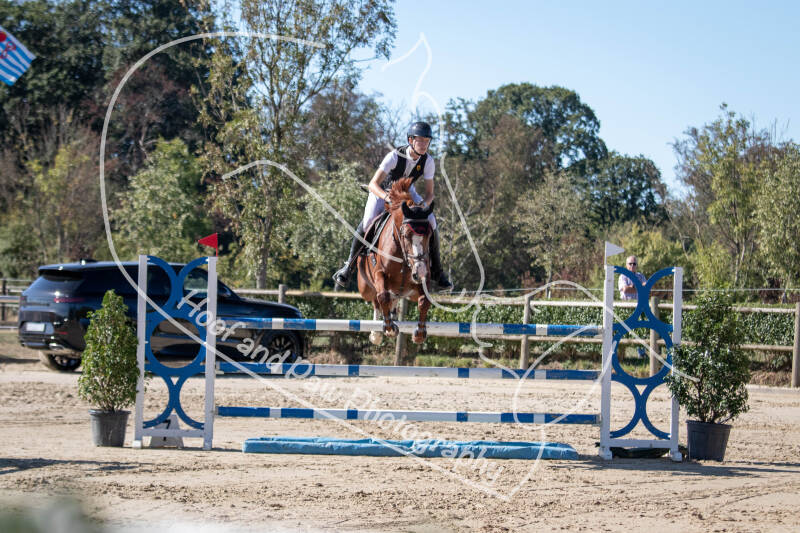 bouferterhaff-jumping-22-standard-9qdhye.jpg