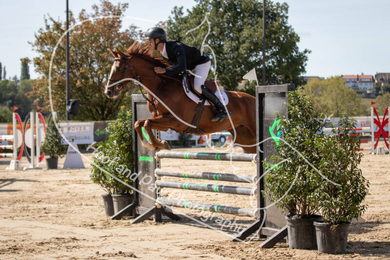 bouferterhaff-jumping-22-standard-bfp7k0.jpg