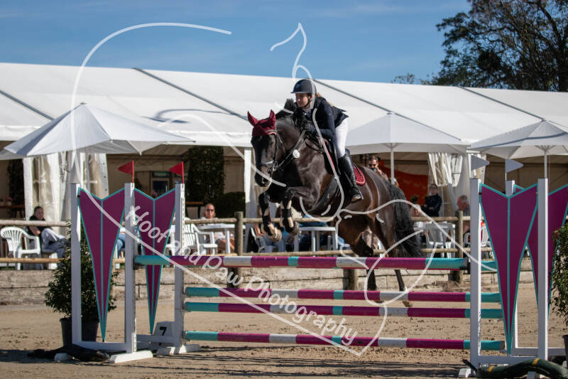 bouferterhaff-jumping-22-standard-el9z7t.jpg