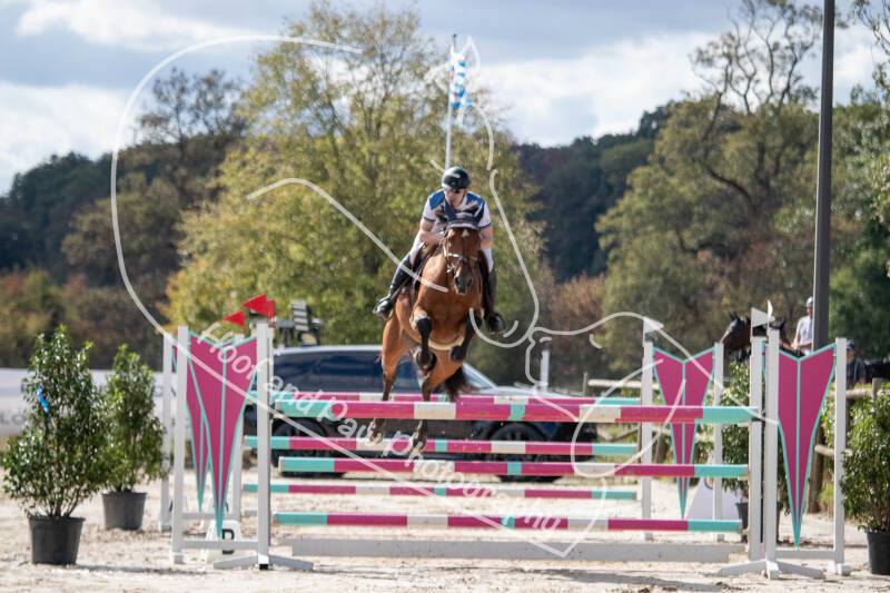 bouferterhaff-jumping-22-standard-n6u9m2.jpg