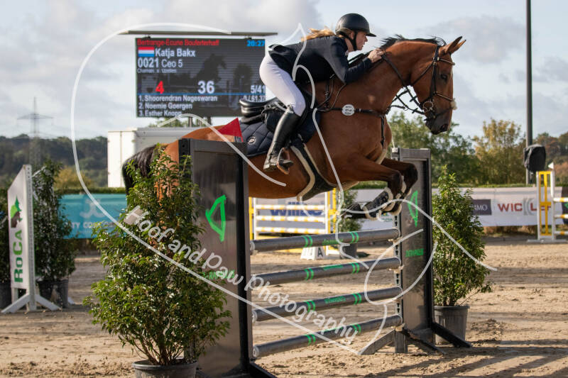 bouferterhaff-jumping-22-standard-regp81.jpg