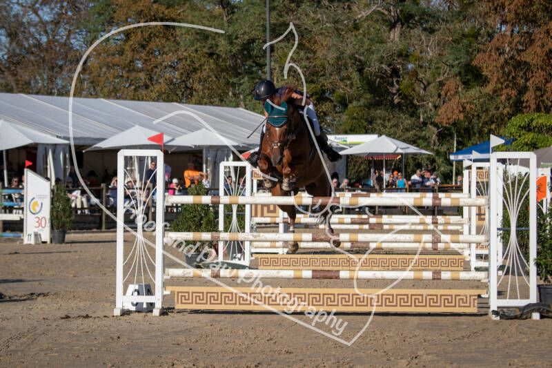 bouferterhaff-jumping-22-standard-wy02ze.jpg
