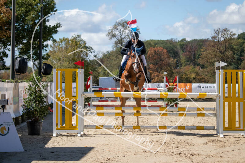 bouferterhaff-jumping-22-standard.jpg