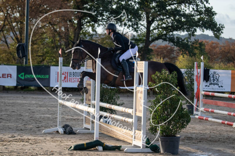 bouferterhaff-jumping-23-standard-5hfela.jpg