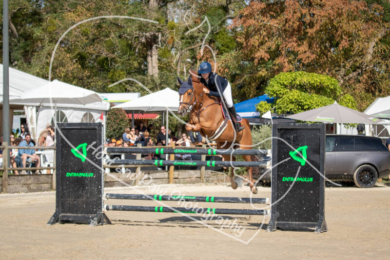 bouferterhaff-jumping-23-standard-h88ud5.jpg