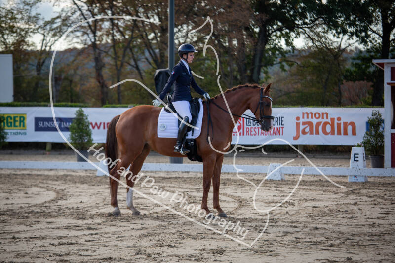 bouferterhaff-jumping-23-standard-nndv3b.jpg