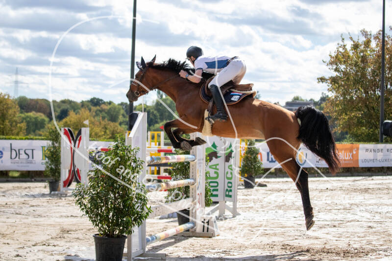 bouferterhaff-jumping-23-standard-pjybu9.jpg