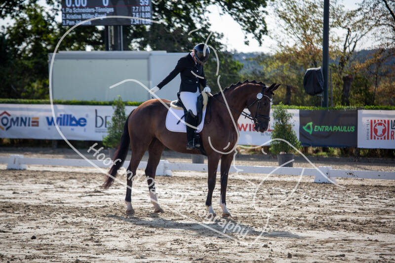 bouferterhaff-jumping-23-standard-suz946.jpg