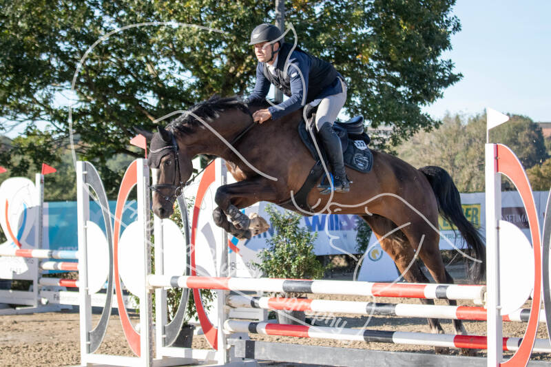 bouferterhaff-jumping-24-standard-4lxg8a.jpg