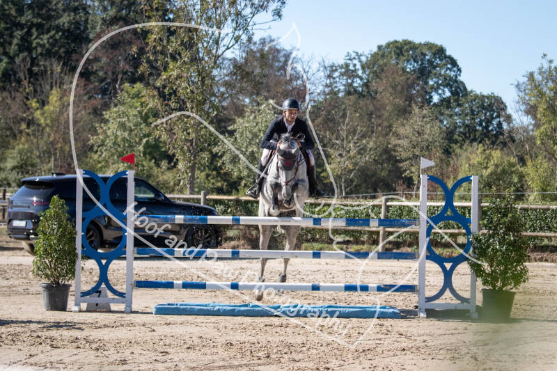 bouferterhaff-jumping-24-standard-6yn4au.jpg