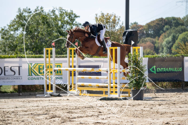bouferterhaff-jumping-24-standard-8mo4va.jpg