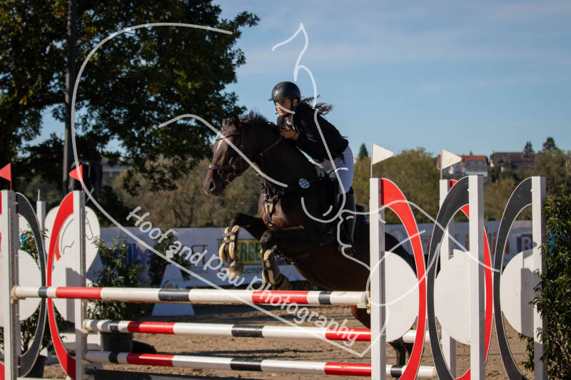 bouferterhaff-jumping-24-standard-9k164p.jpg