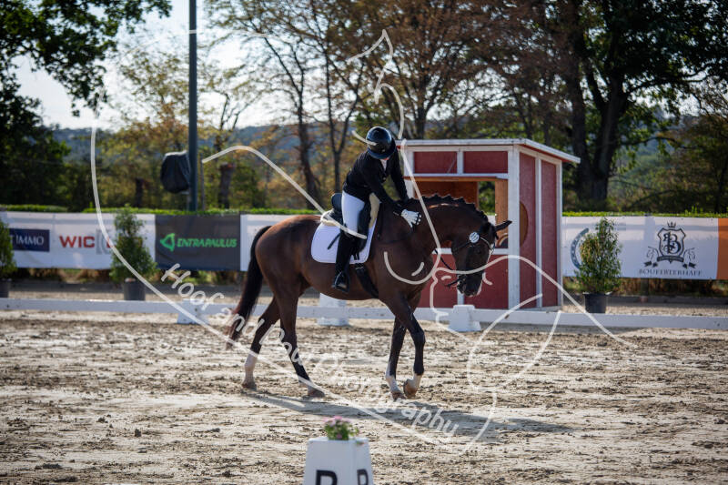 bouferterhaff-jumping-24-standard-eszx4q.jpg
