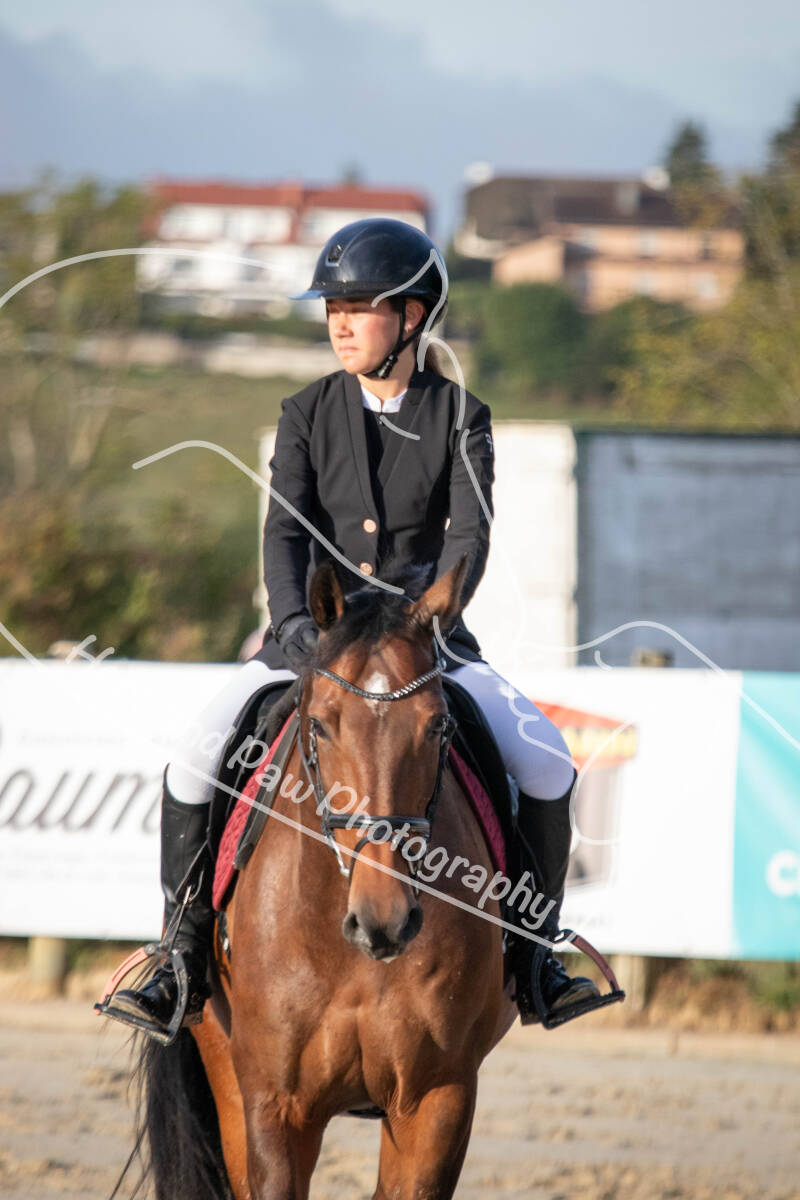bouferterhaff-jumping-24-standard-h0ajya.jpg