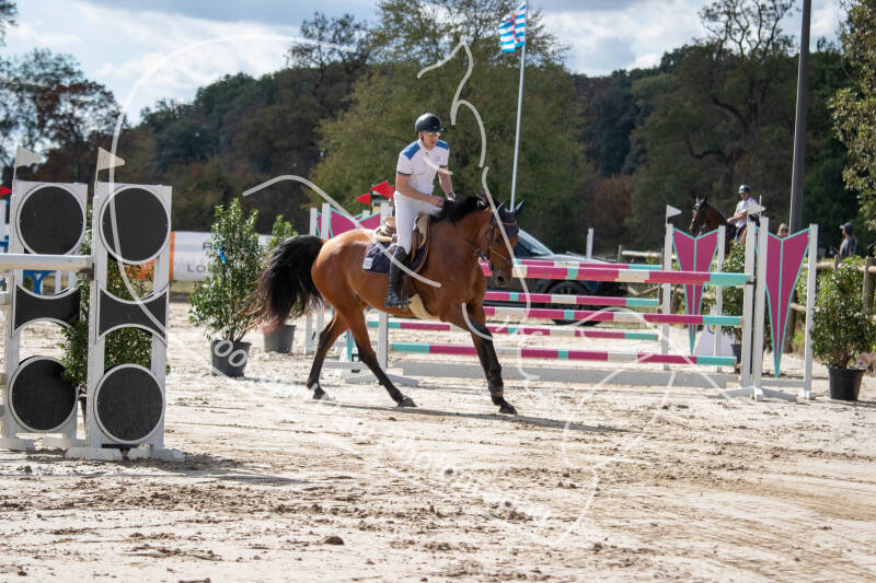 bouferterhaff-jumping-24-standard-k6cf4p.jpg