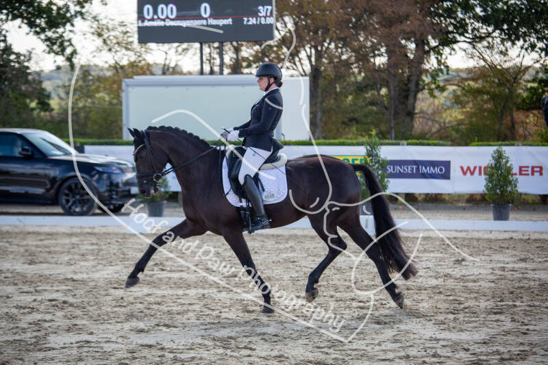 bouferterhaff-jumping-24-standard-llrt1m.jpg