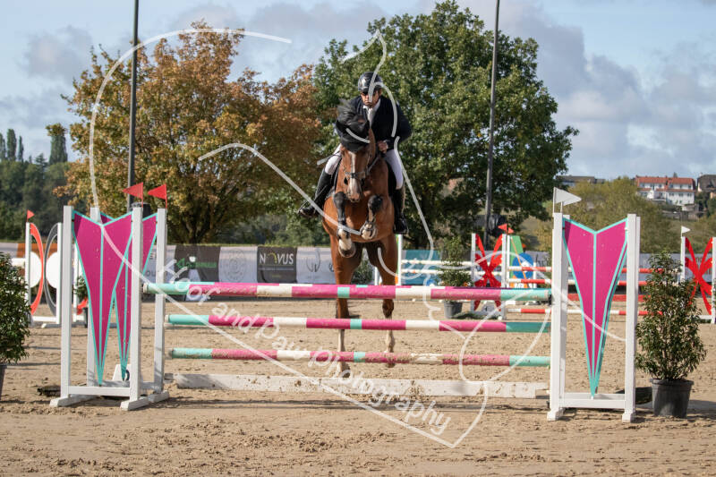 bouferterhaff-jumping-24-standard-mc6izn.jpg