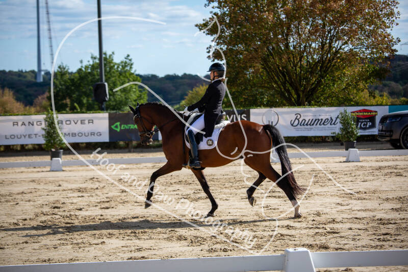 bouferterhaff-jumping-24-standard-pgnr4f.jpg