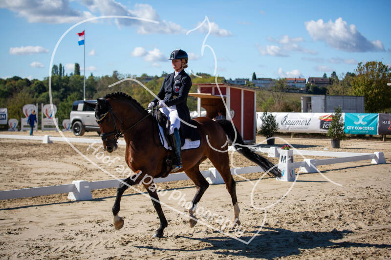 bouferterhaff-jumping-24-standard-s20hze.jpg